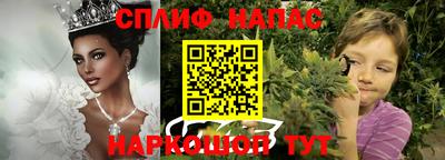 гидропоника Тверь