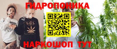 гидропоника Тверь