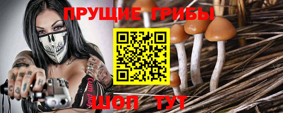 Псилоцибиновые грибы прущие грибы Назрань