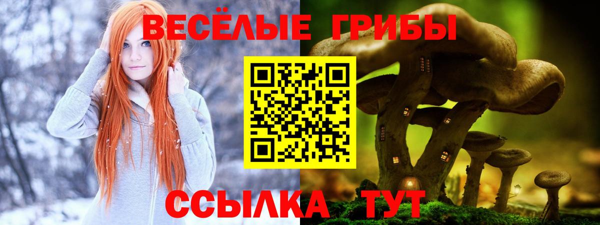 Галлюциногенные грибы мухоморы  Галлюциногенные грибы Psilocybe  Назрань  Вход с VPN 